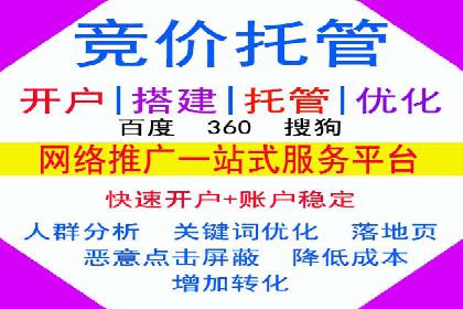 SEM优化实战：案例分析与优化建议